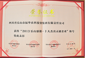 十大杰出贡献企业
