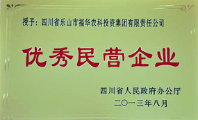 优秀民营企业